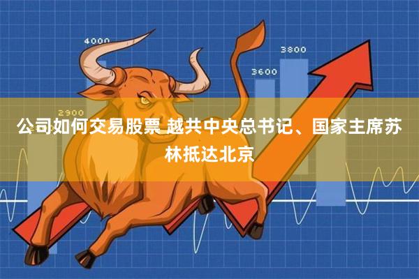公司如何交易股票 越共中央总书记、国家主席苏林抵达北京