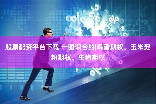股票配资平台下载 一图识合约|鸡蛋期权、玉米淀粉期权、生猪期权