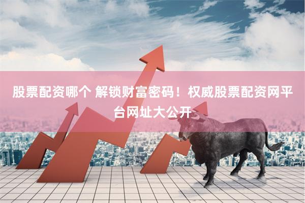 股票配资哪个 解锁财富密码！权威股票配资网平台网址大公开