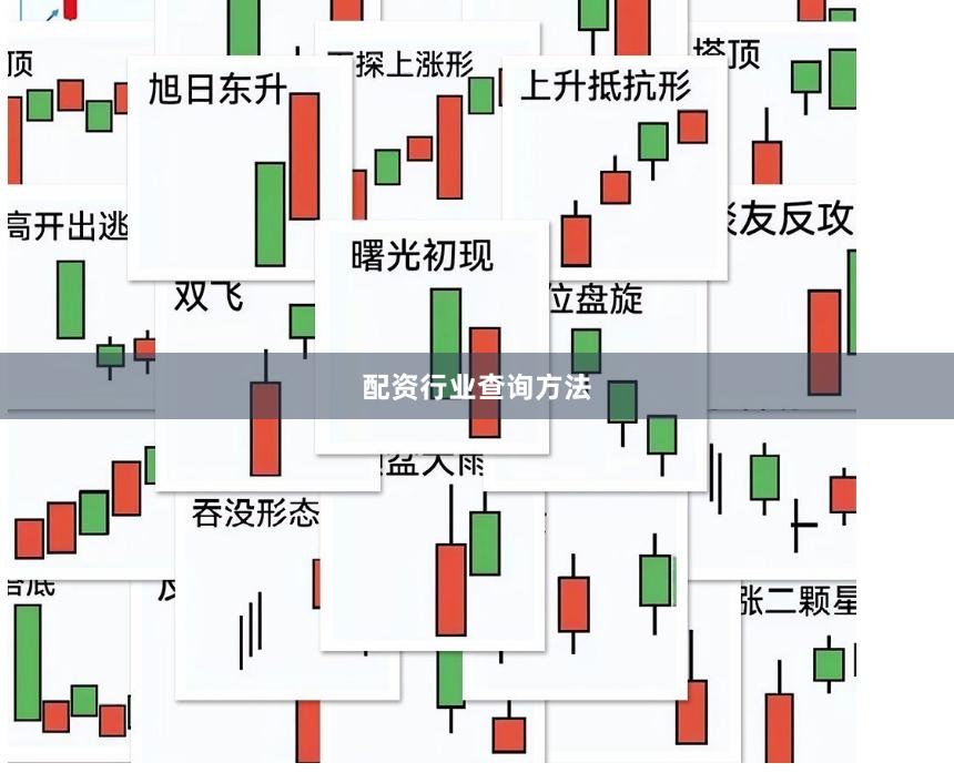 配资行业查询方法